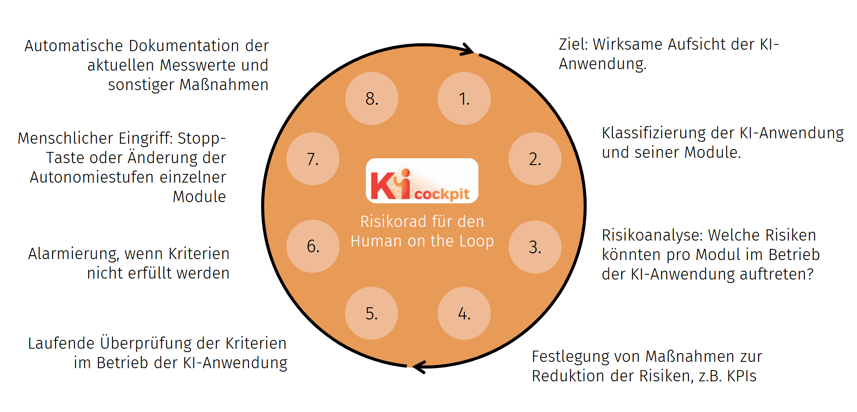 Die Grafik zeigt das Risikorad für das HOL Cockpit. Es wird eine 8-stufiger Schritt angezeigt.